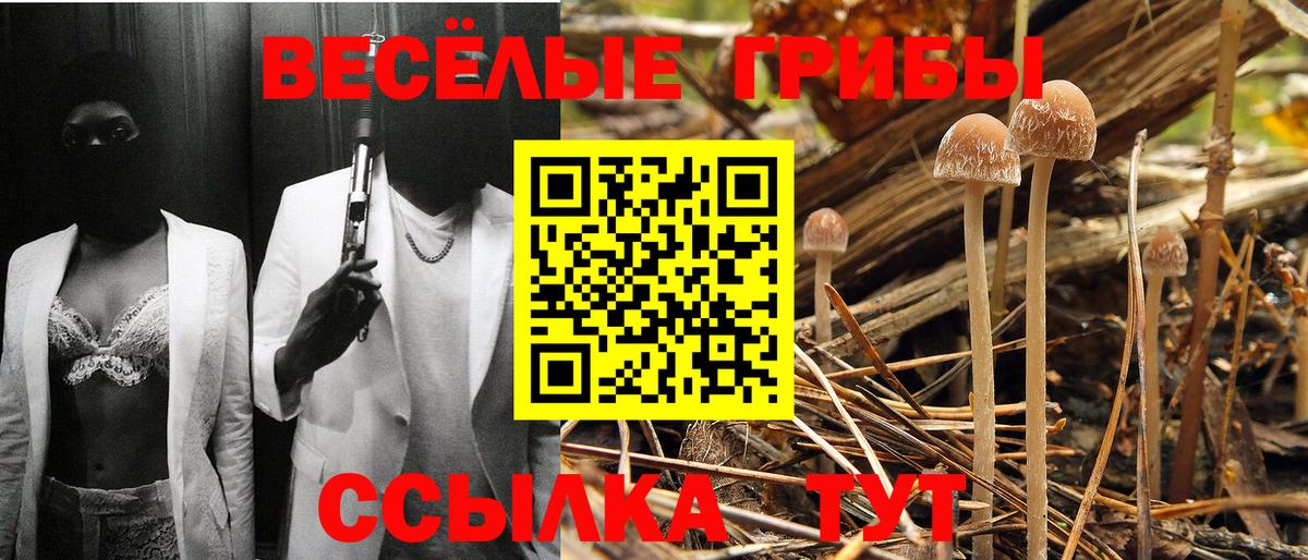 Галлюциногенные грибы Psilocybe  Вход с VPN  Галлюциногенные грибы ЛСД  Сызрань 